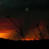 Summer storms