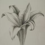 Kathryn Huhn Kathryn Huhn