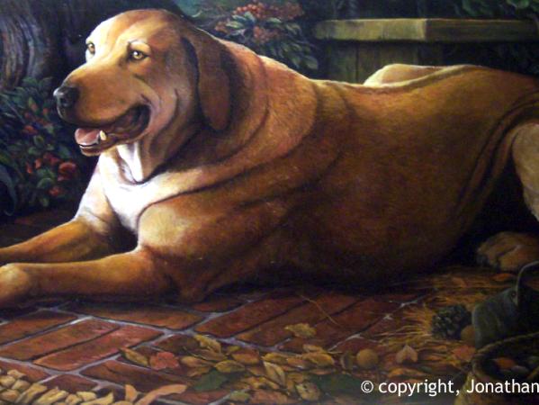 Regal Hound