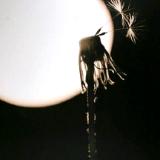 From the "Worlds Within" Series_Image 18