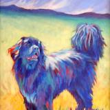 Dogs