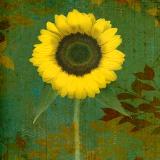 Art Prints America