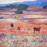 Landscapes
