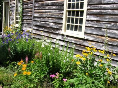  Old house's Garden