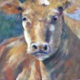 Pastel Animal Paintings Pastel Animal Paintings