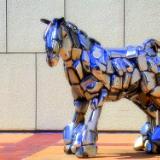 Wichita Horse