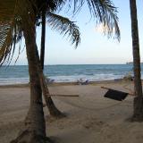 tropical lazy days