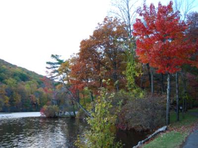 By the Lake