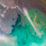 Turquoise Waters  Detail