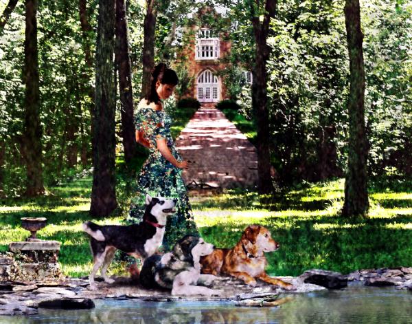 Dogs Lay at Her Feet