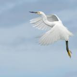 in flight