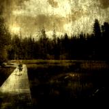 Crossing the Bog Bridge