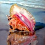 Solitary Conch