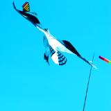 Wind Under My Wings