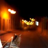Horse ride through streets of Mexico