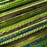 Twisted Cane Twisted Cane