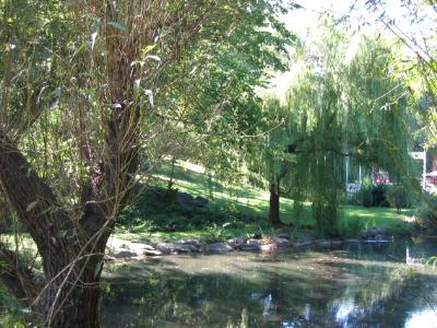 Central Park 3