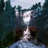The Forest
