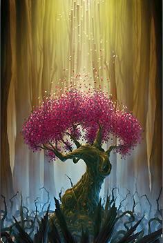 Tim Cantor's Beauty's Privilige