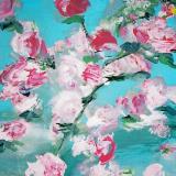 cherry blossom 