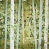 Forest Fantasia (10)