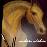 melissa abshire melissa abshire
