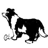 The Zen of Seeing a Dog in Contimplation