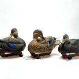 PACIFIC SOUTHWEST WILDLIFE ART PACIFIC SOUTHWEST WILDLIFE ART
