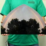 Under the Rainbow
