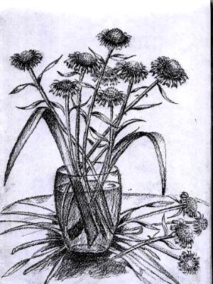  MY FAVORIT FLOWER