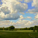 Southern Summer Skies