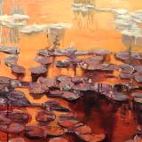 Ponds  
