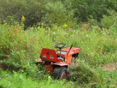 Little Tractor