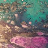 Turquoise Waters  Detail