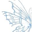 Raindancer Designs Raindancer Designs