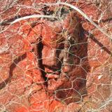 Breaking Through (detail)