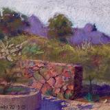 Tohono Chul