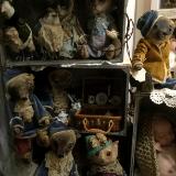 Bears and animals for sale
