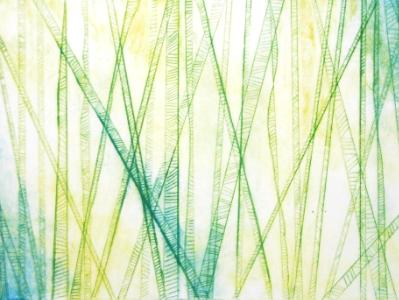Reeds Reeds