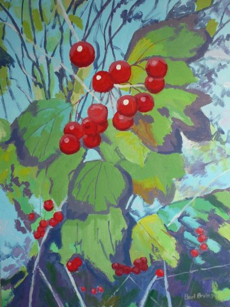 Guelder Rose berries at Bickleigh