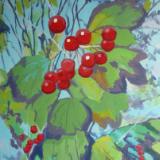 Guelder Rose berries at Bickleigh