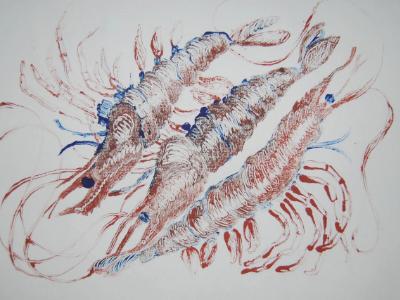 Shrimp I Shrimp I