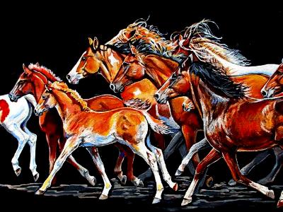 Follow the Leader Follow the Leader