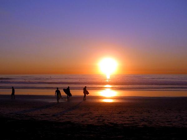 Del Mar Surfers