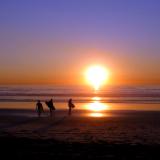 Del Mar Surfers