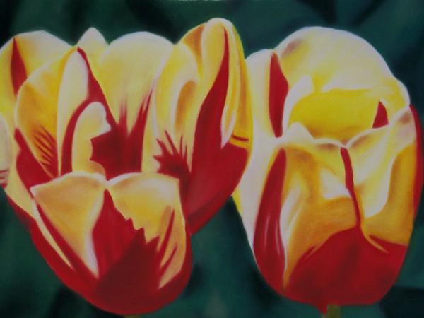 "Two Tulips"