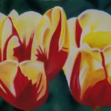 "Two Tulips"
