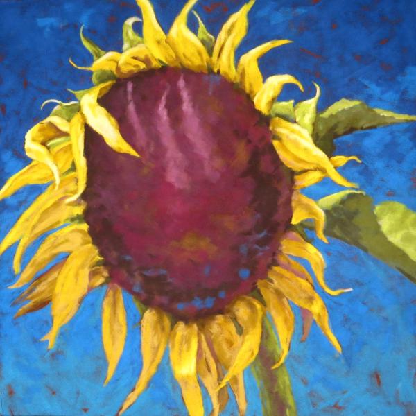 Sunflower 3