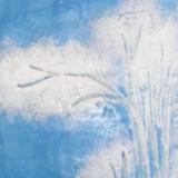 Winter Blue