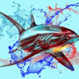Blood in the water - Thresher Shark Light